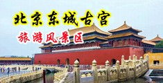 操骚穴熟页中国北京-东城古宫旅游风景区